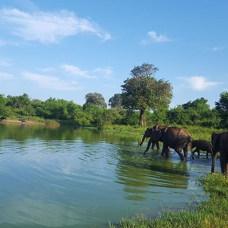 Kuma Safari Lodge Удавалаве Екстер'єр фото