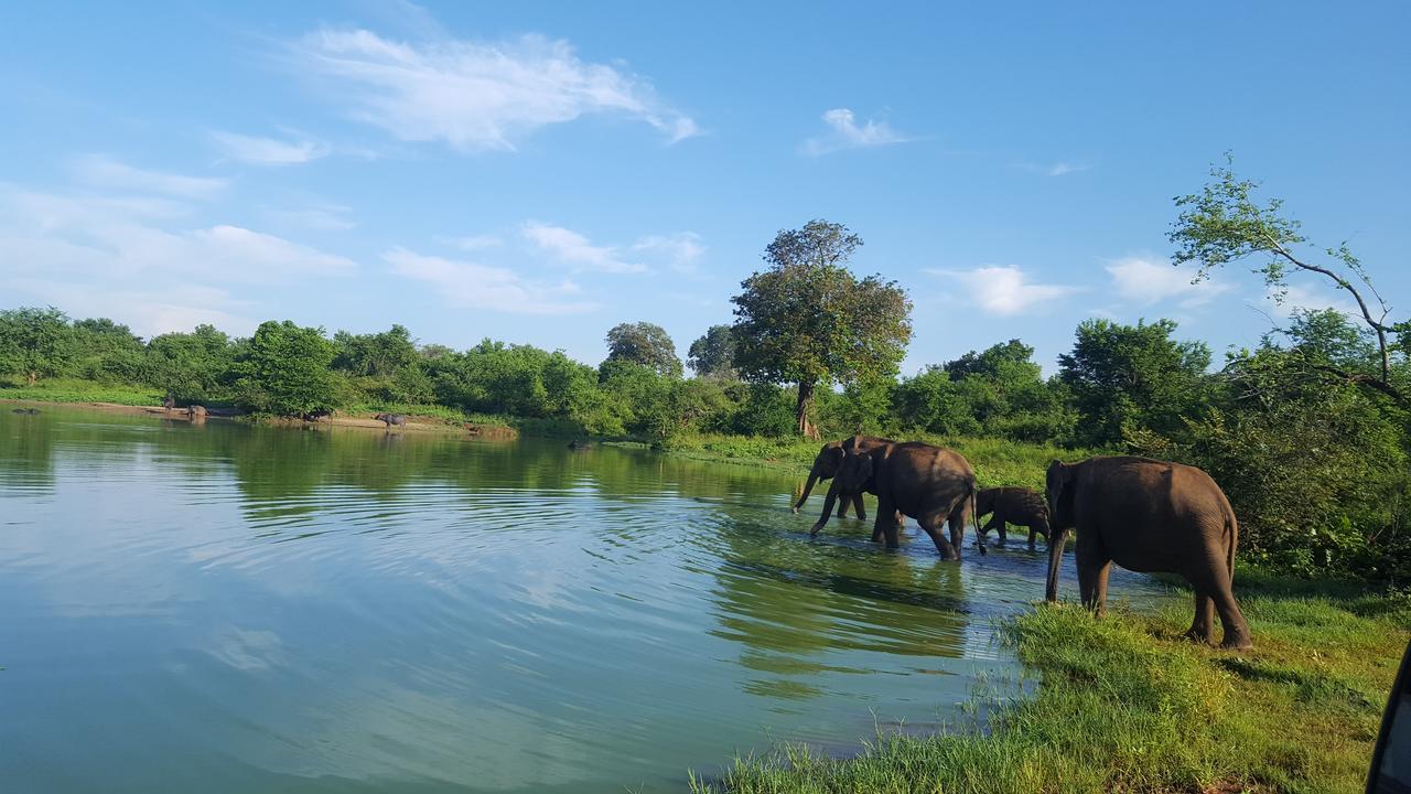 Kuma Safari Lodge Удавалаве Екстер'єр фото